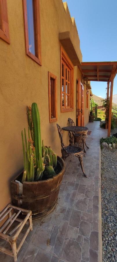 Casa Jardin De Hadas Con Vista Panoramica 피스코 엘키 외부 사진