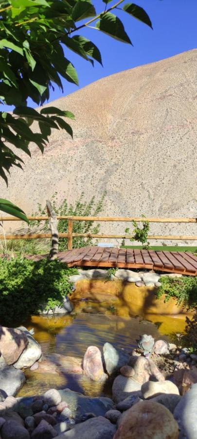 Casa Jardin De Hadas Con Vista Panoramica 피스코 엘키 외부 사진