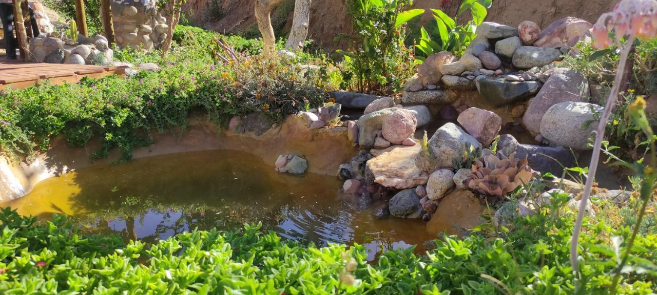 Casa Jardin De Hadas Con Vista Panoramica 피스코 엘키 외부 사진